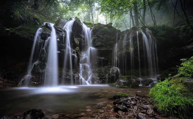 Aokigahara Forest, Japan