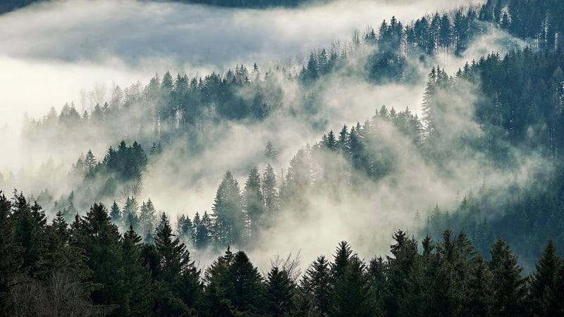 Black Forest, Germany